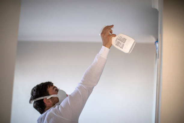 Mold Removal and Inspection in The Acreage, FL